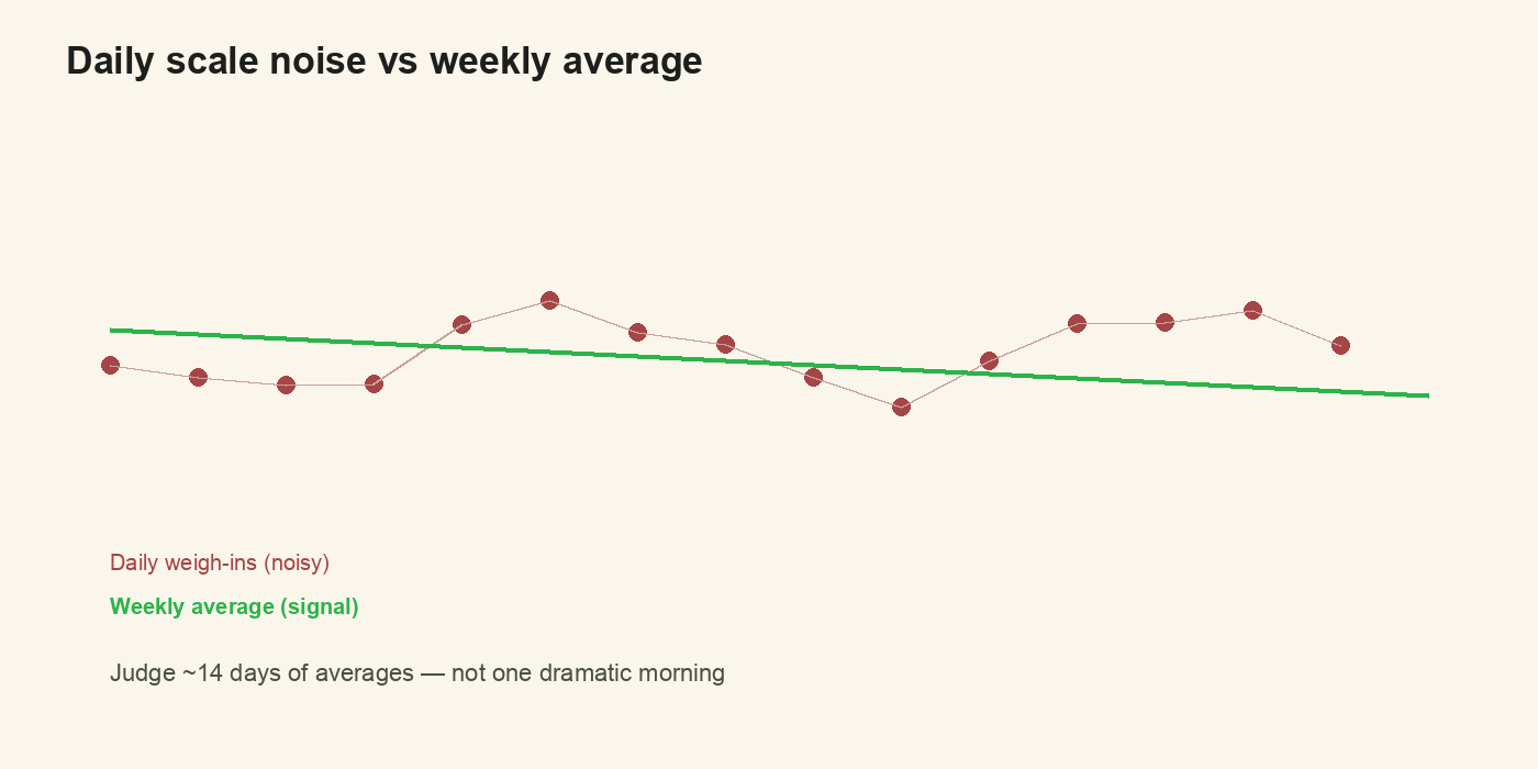 Daily scale noise vs weekly average over 14 days