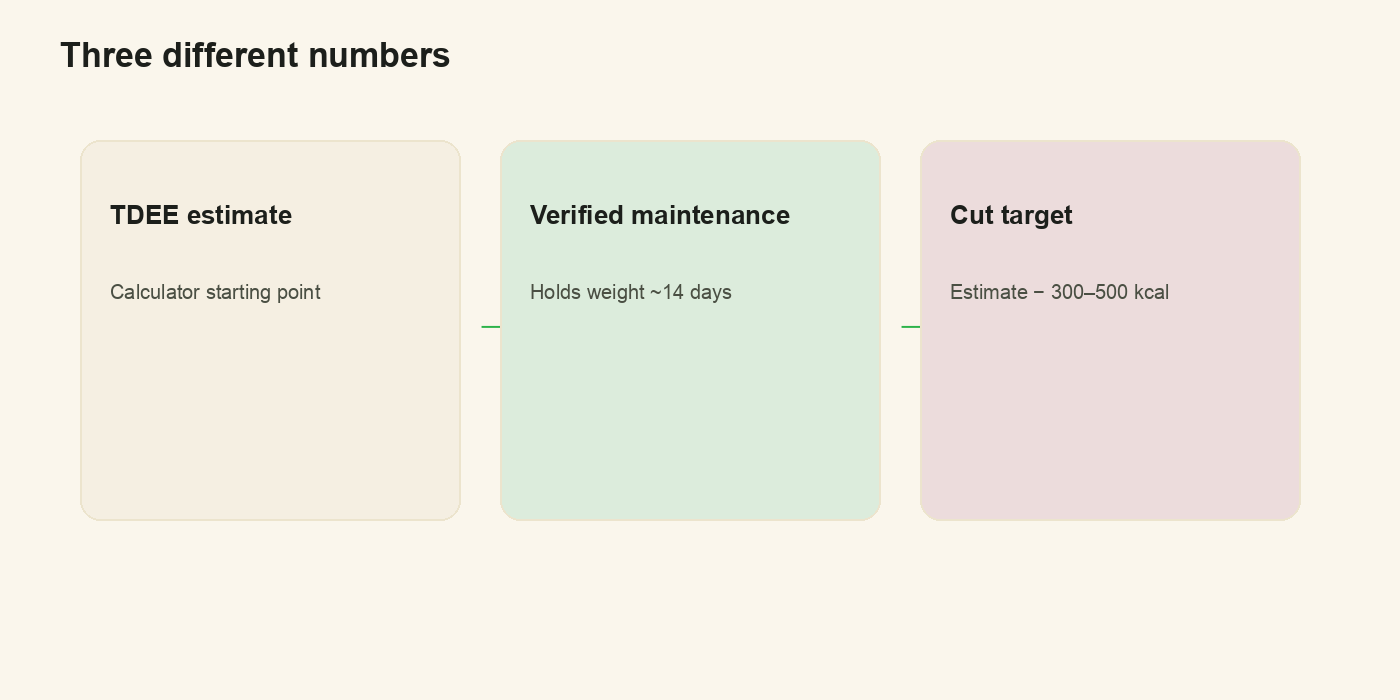 TDEE estimate vs verified maintenance vs cut target